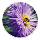 Search for bee knobs and pulls Daisy