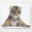 Search for the front mousepads Wildlife