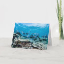 Search for saltwater cards Fish