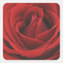 Search for affection labels Beauty