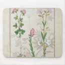 Search for herbal mousepads Plant