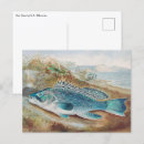 Search for bass postcards Fisherman