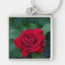 Search for rose macro accessories Flowers