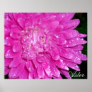 Search for horticulture art Pink
