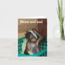 Search for i forgive you cards Relationships