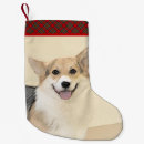 Search for corgi christmas stockings Dog