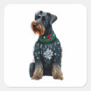 Search for mini schnauzer stickers Pet