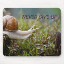 Search for giving mousepads Nature