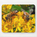 Search for bug pictures mousepads Nature