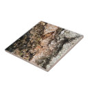 Search for brown wood texture tiles Rustic