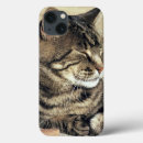 Search for cat ipad cases Pet