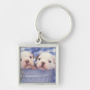 Search for english bulldog key rings Animal