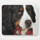 Search for communism mousepads Red