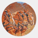 Search for amish stickers Rural