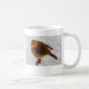 Search for robin mugs Nature