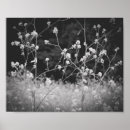 Search for weeding photography Weeds