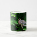 Search for mourning dove mugs Birds