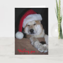 Search for shiba inu christmas cards Merry