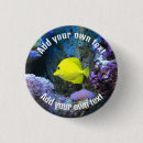 Search for yellow fish badges Aquarium