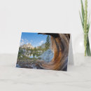 Search for paulson cards Inyo national forest