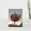 Search for hippy cards Funny