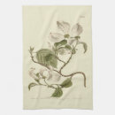 Search for vintage botanical tea towels Botany