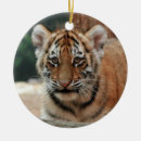 Search for cub christmas tree decorations Animal lover