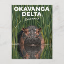 Search for botswana travel postcards Wildlife