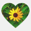 Search for black eyed susan stickers Flower