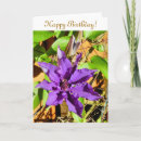 Search for clematis cards Photography