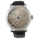 Search for coast watches Water