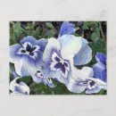 Search for pansy postcards Flowers