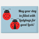Search for good luck magnets Insect