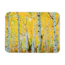 Search for danita delimont magnets America