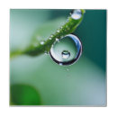 Search for water drop tiles Droplets