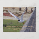 Search for richard cards Bird