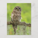 Search for danita delimont postcards Moss