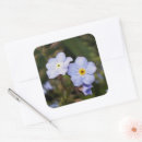 Search for forget me not flowers stickers Blue