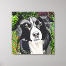 Search for black border canvas prints Collie