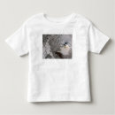 Search for ashes tshirts Eruption