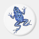 Search for frog magnets Wildlife
