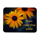 Search for pretty magnets Photograph