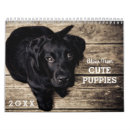 Search for advice dog Puppy