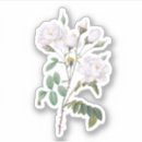 Search for vintage rose illustration stickers Garden