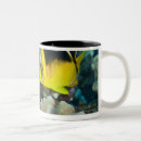 Search for underwater mugs Outdoors