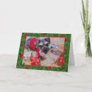 Search for schnauzer cards Pets