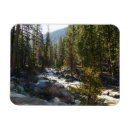 Search for sequoia magnets Landscape