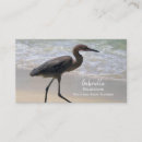Search for birds business cards Ocean