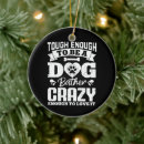 Search for veterinarian christmas tree decorations Pet