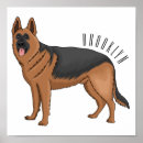 Search for shepherd dog posters Alsatian